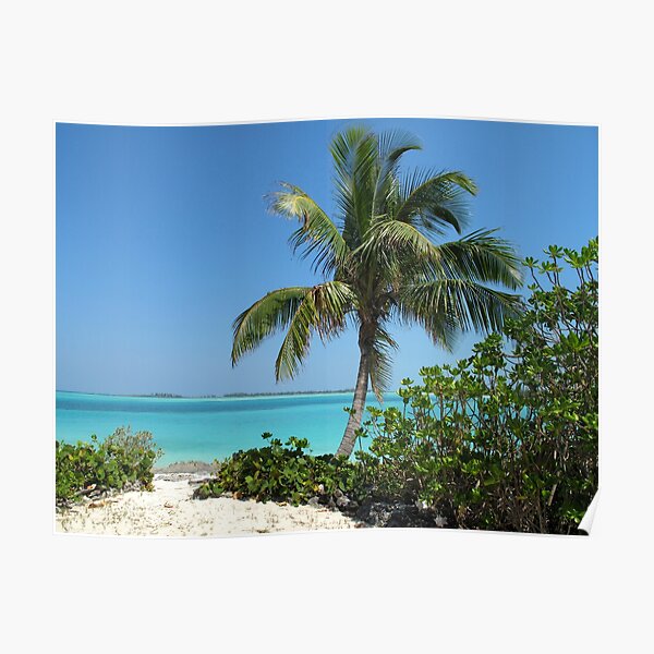 Pelican Cay Poster