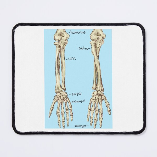 Item preview, Hand bones designed and sold by HopeElizabethR.