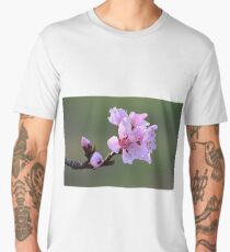Spring Tree blooms Men's Premium T-Shirt