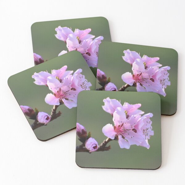 Item preview, Spring Tree blooms designed and sold by Tonia Delozier's Photography .
