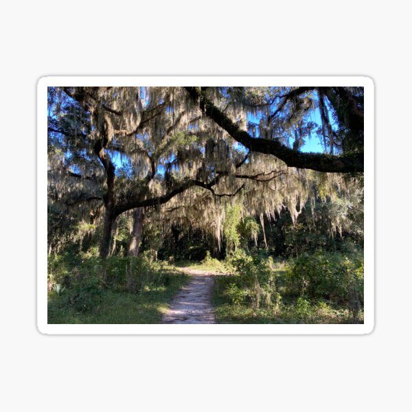 Item preview, Spanish Moss designed and sold by Dennis Consorte.