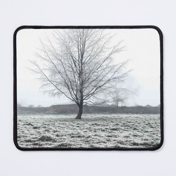 Item preview, One foggy evening on Rodborough Common designed and sold by Jeff  Wilson.