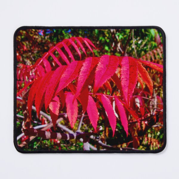 Item preview, Red Sumac designed and sold by Shulie1.