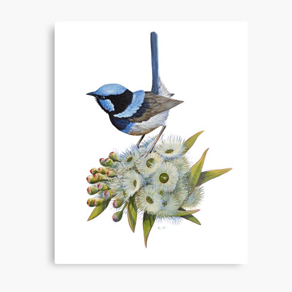 Item preview, Blue Wren designed and sold by Brett Jarrett.