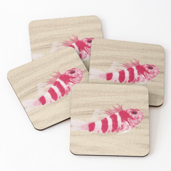 Item preview, Banded Hawkfish  designed and sold by Tortibee.