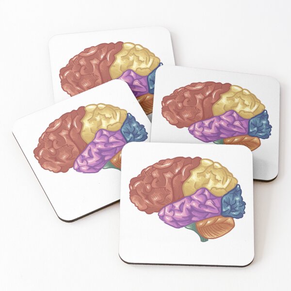 Item preview, Brain Lobes Sticker Cute designed and sold by Medcii !.