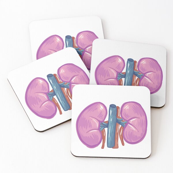 Item preview, Kidneys Sticker Cute designed and sold by Medcii !.