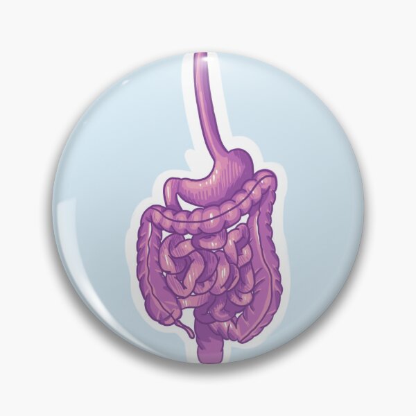 Item preview, GI Tract Sticker designed and sold by Medcii !.
