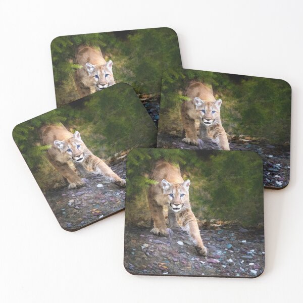 Item preview, Step by Step designed and sold by JillLind47.