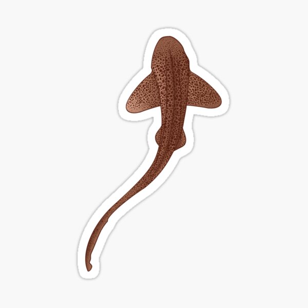Item preview, Zebra shark items in brown designed and sold by AlexsArtSpace.