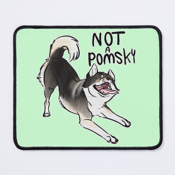 Item preview, Agouti Alaskan Klee Kai- NOT a Pomsky! designed and sold by Sparklepupfaeri.