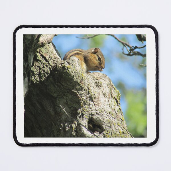 Item preview, Lunchtime designed and sold by Simple Joys Photography.