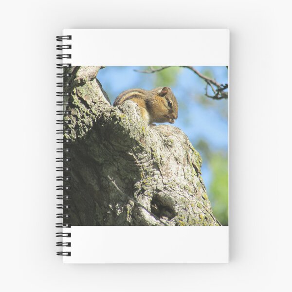 Item preview, Lunchtime designed and sold by Simple Joys Photography.