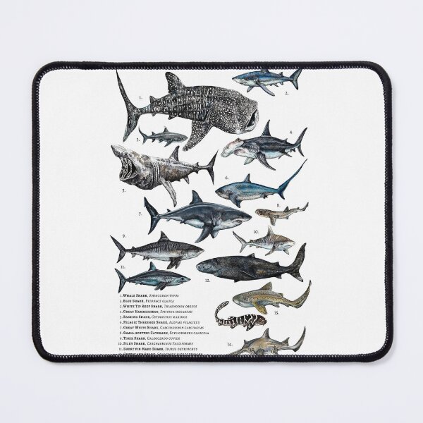 Item preview, Sharks of the world designed and sold by AzalaiBubbles.