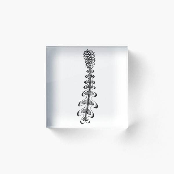 Vegetal Ground Acrylic Block