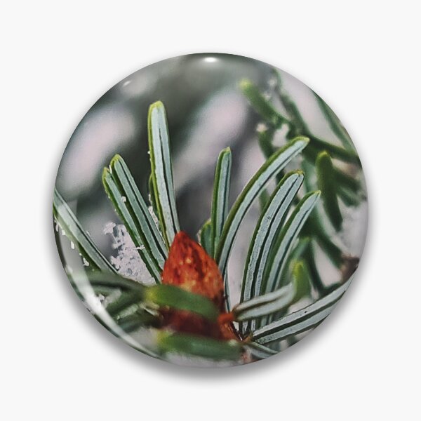 Item preview, Snow on the branch of Abies designed and sold by bluerosesart37.