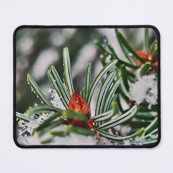 Item preview, Snow on the branch of Abies designed and sold by bluerosesart37.