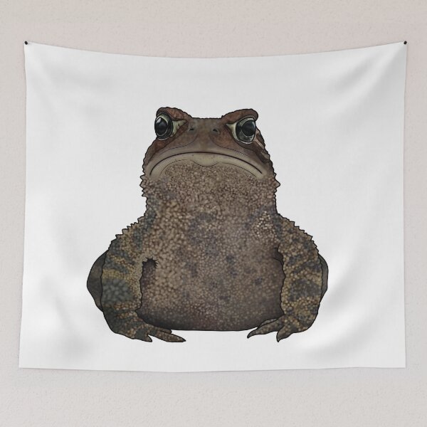 Item preview, American Toad designed and sold by Madison N.