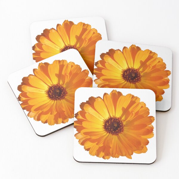 Item preview, Orange Calendula designed and sold by SnapsBySara.