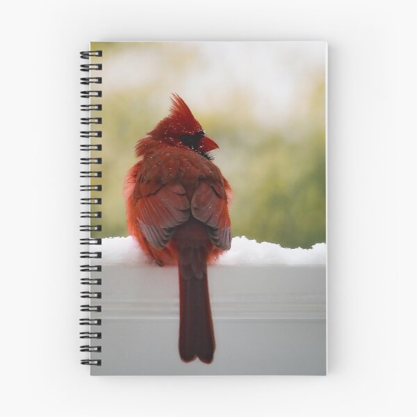 Item preview, Cardinal in Snow designed and sold by KPcaptures.