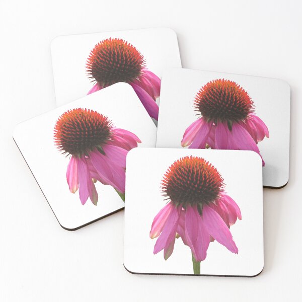 Item preview, Purple Coneflower designed and sold by SnapsBySara.