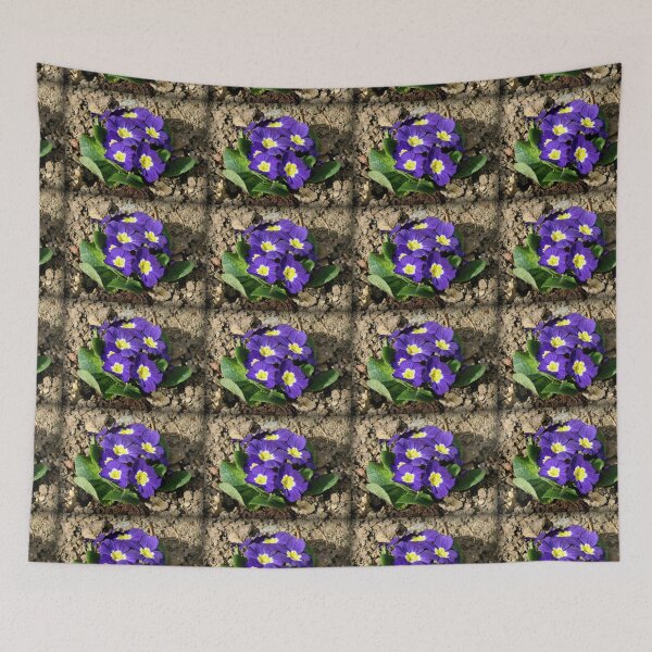 Item preview, Bright and Beautiful - Sunkissed Purple Primrose designed and sold by MidnightMelody.