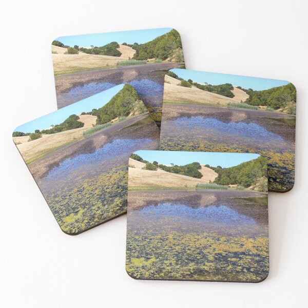 Item preview, Turtle Pond at Pleasanton Ridge Regional Park, East Bay Area designed and sold by yhelfman.