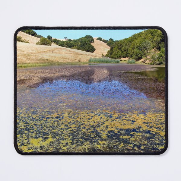 Item preview, Turtle Pond at Pleasanton Ridge Regional Park, East Bay Area designed and sold by yhelfman.