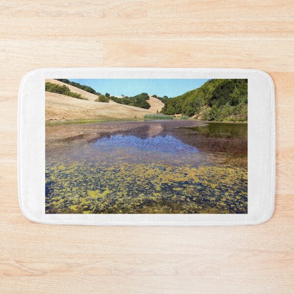 Item preview, Turtle Pond at Pleasanton Ridge Regional Park, East Bay Area designed and sold by yhelfman.