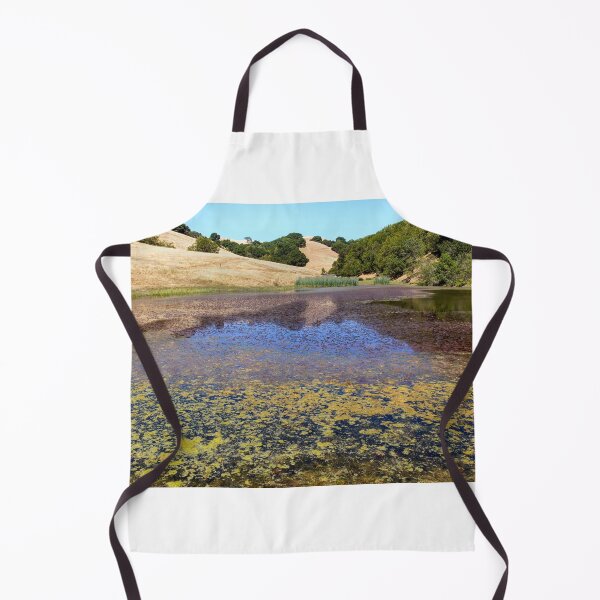 Item preview, Turtle Pond at Pleasanton Ridge Regional Park, East Bay Area designed and sold by yhelfman.