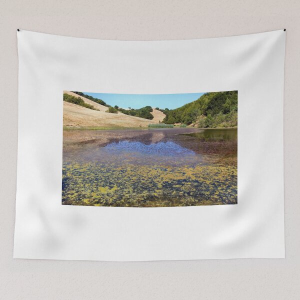 Item preview, Turtle Pond at Pleasanton Ridge Regional Park, East Bay Area designed and sold by yhelfman.