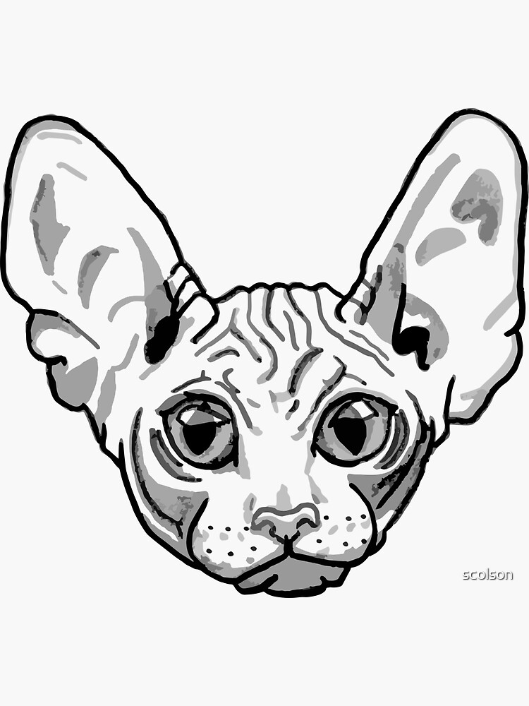 "Hairless Cat Face" Sticker for Sale by scolson Redbubble