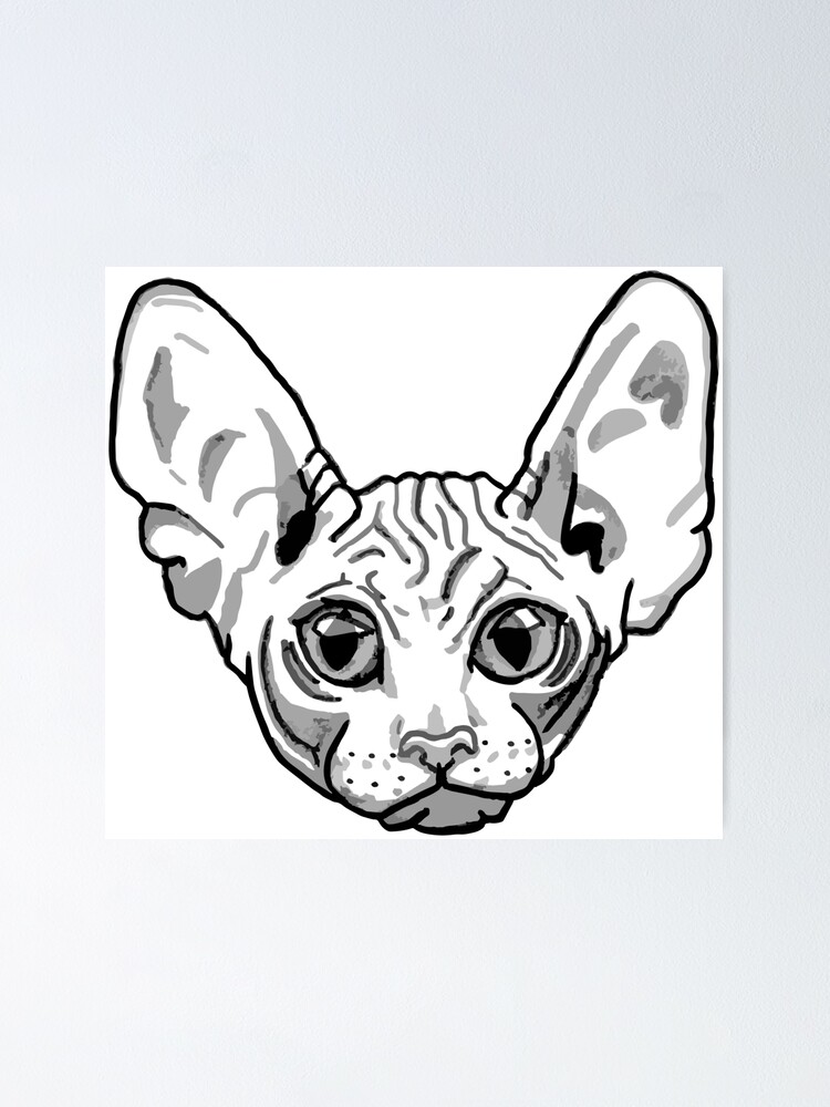 Poster Visage De Chat Sans Poils Par Scolson Redbubble