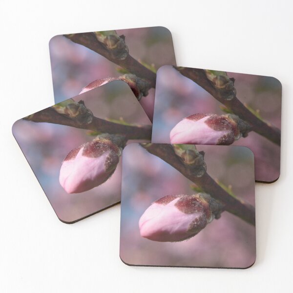 Item preview, Pink bud  designed and sold by Tonia Delozier's Photography .