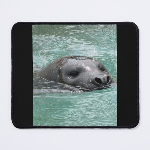 Item preview, Sammy Seal designed and sold by Simple Joys Photography.