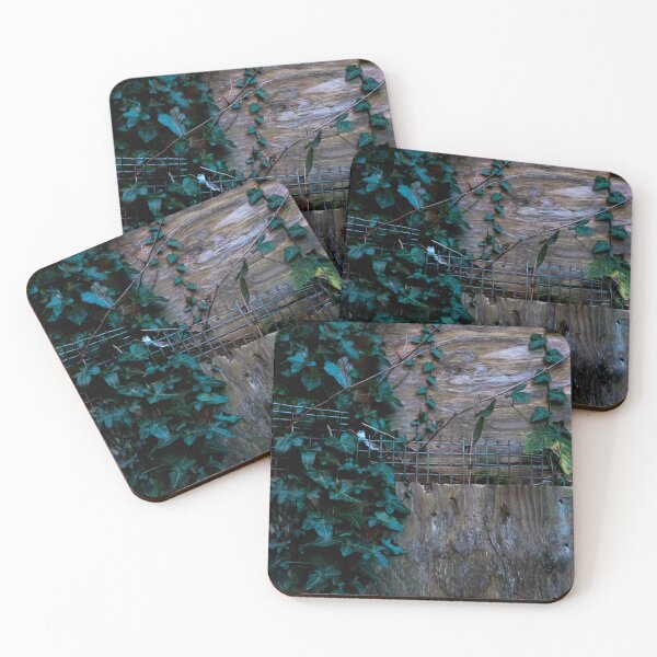 Item preview, English Ivy Overgrown, Nature Taking Back. Urban Lines designed and sold by MegCaterpillar.