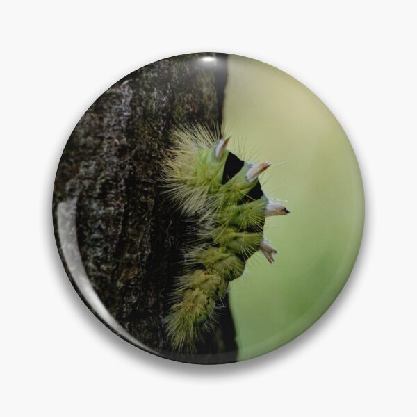 Artikelvorschau, Verrückte Raupe auf einem Baum, Nahaufnahme in der Natur entworfen und verkauft von MegCaterpillar.