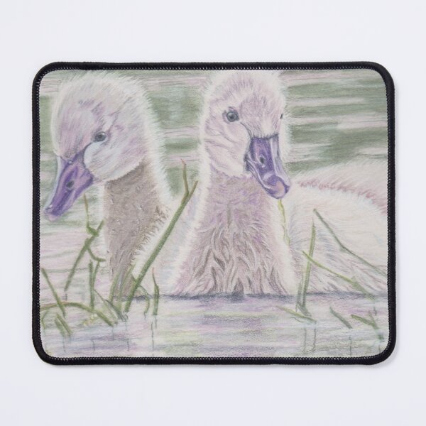 Item preview, Cygnets and reflections designed and sold by Sandra Johnston.