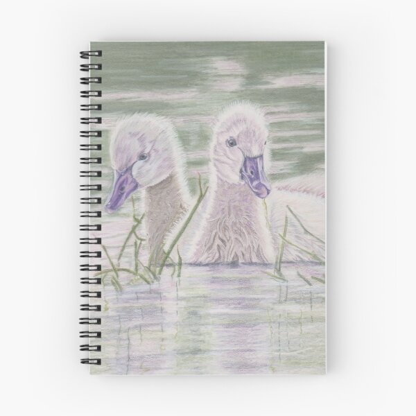 Item preview, Cygnets and reflections designed and sold by Sandra Johnston.