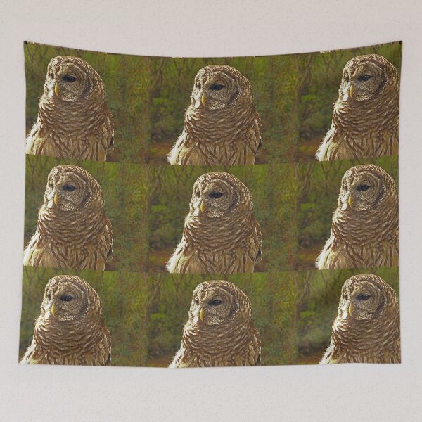 Item preview, Barred Owl designed and sold by glink.