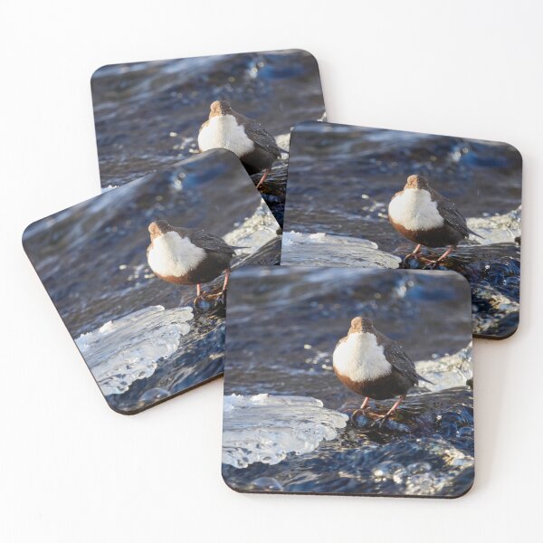 Item preview, Icy way. White-throated dipper designed and sold by Jouko Lehto Photography.
