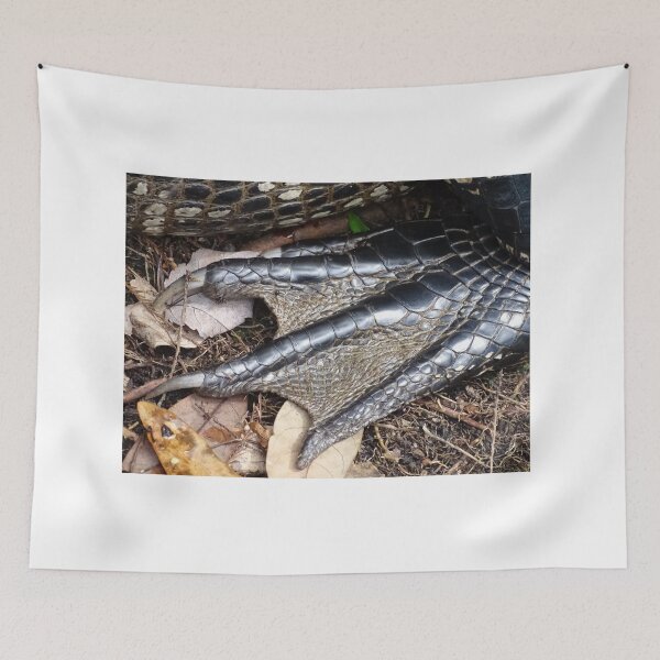 Aperçu de l'œuvre Gator Foot créée et vendue par glink.