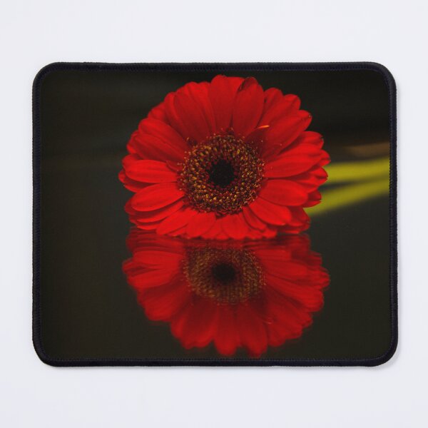 Item preview, Gerbera Flower Reflection  designed and sold by Alisonchambers2.