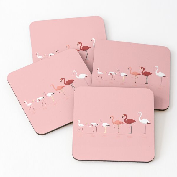 Item preview, Flamingo Bird Species Comparison Set designed and sold by SUPERHERON.