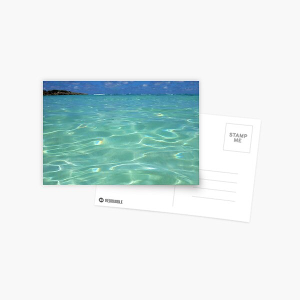 Bita Waves II Postcard