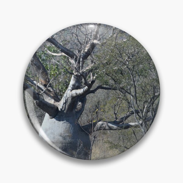 Item preview, A large baobab tree, surrounded by wattle seedlings. designed and sold by EAnneH.