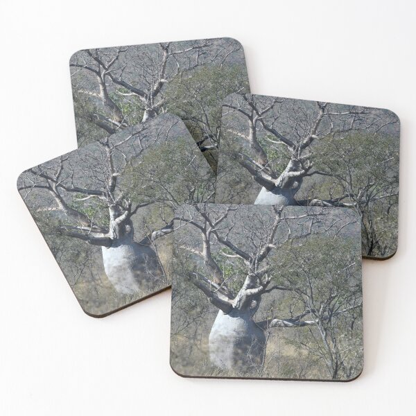 Item preview, A large baobab tree, surrounded by wattle seedlings. designed and sold by EAnneH.