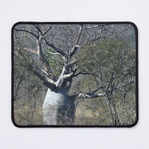 Item preview, A large baobab tree, surrounded by wattle seedlings. designed and sold by EAnneH.