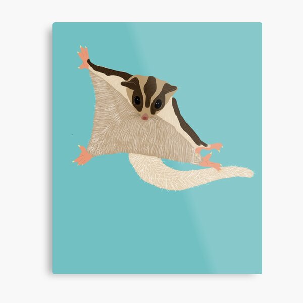 Sugar Glider Metal Print