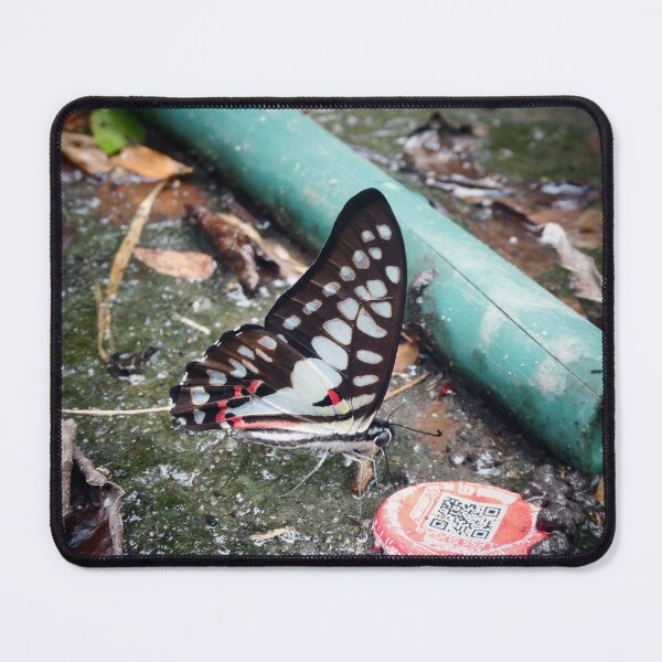 Item preview, Butterfly and the world we have given it. designed and sold by JonDelorme.